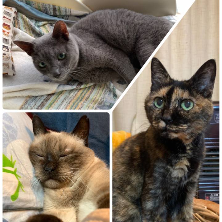 Ee6a941e 1717 4d60 bda6 59a0b0466bfb 1643596571259