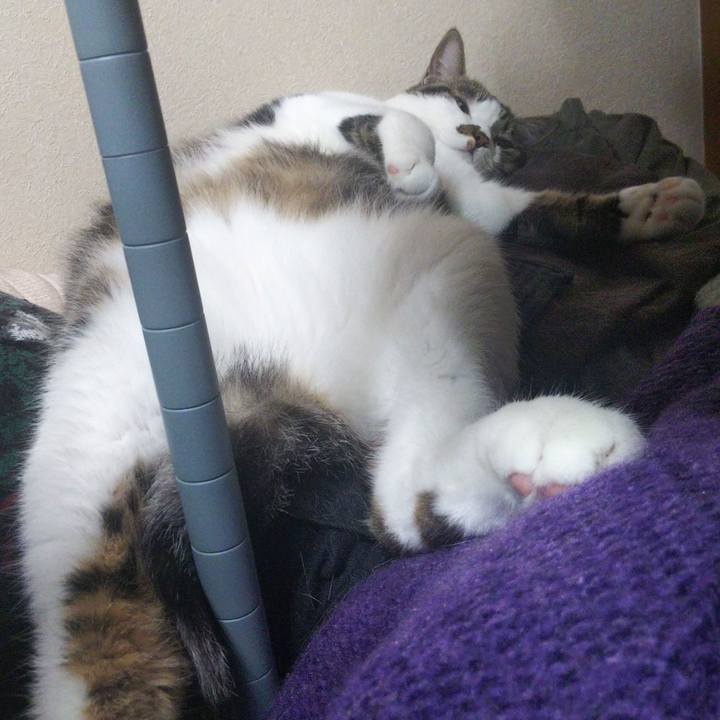 Ee6aa47b b275 4090 81d3 480465379b80 1661925158455