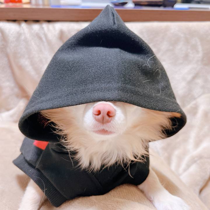 Ee6abc4e 1042 43a7 b68f cb28b5a1cf3a 1672217874363