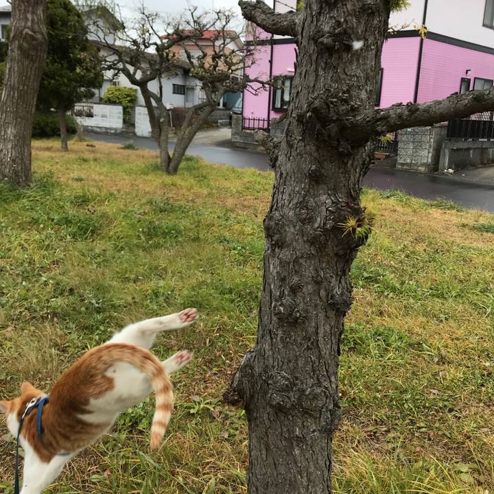 Ee6ac4d1 52f9 481e 948c f3ab22932f4b 1513051981622