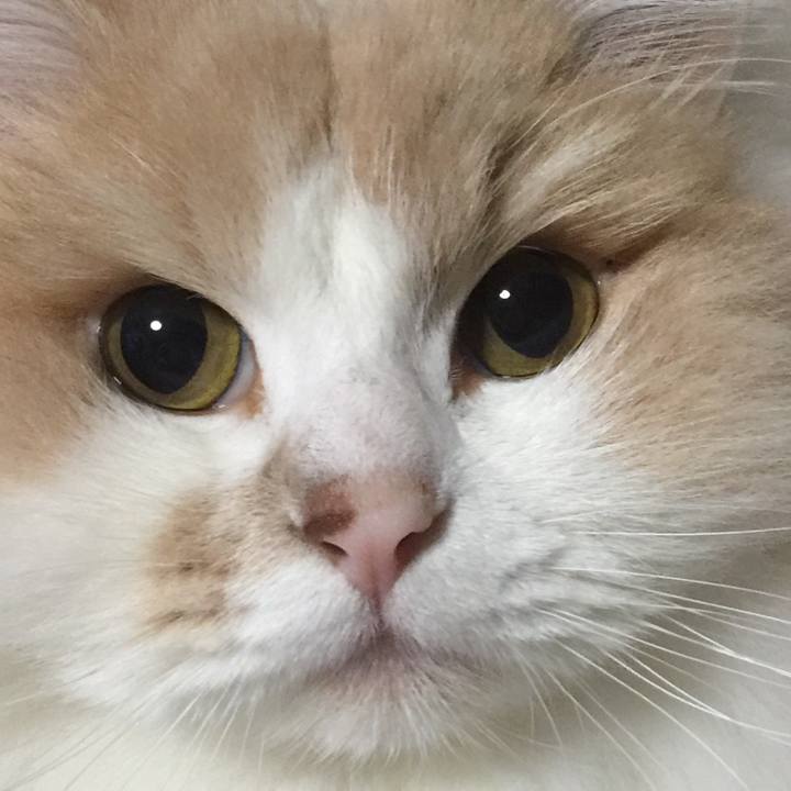 Ee6b2217 975d 4ba0 a169 a1933f8eeb01 1519472959773