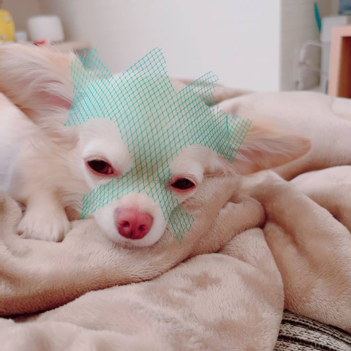 Ee6b4a19 a62c 44e6 a840 c7f88a63d70c 1692601970539