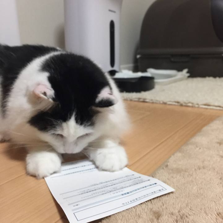 Ee6b6214 c000 44e4 b621 05c700dcbfa3 1508064922978