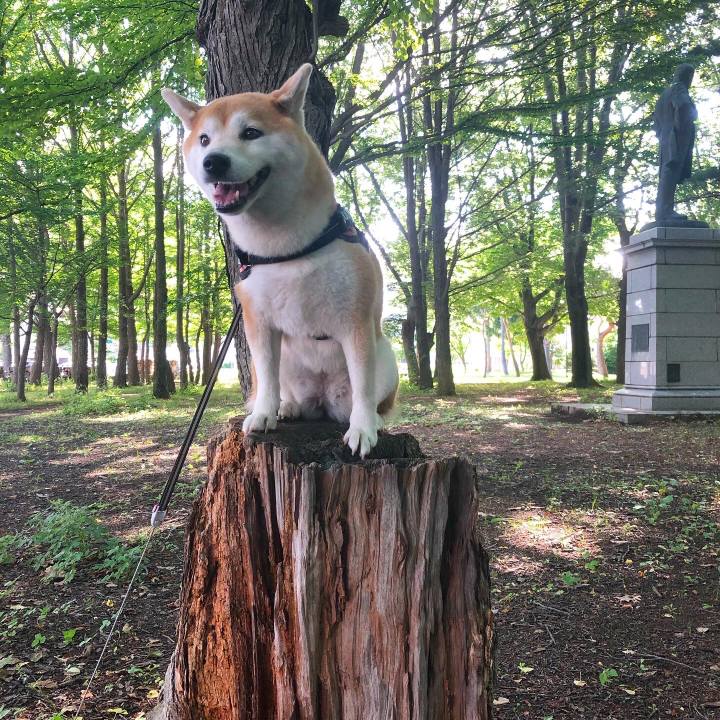 Ee6b8092 c91b 4bd8 b9fa ddb248264130 1595377145047