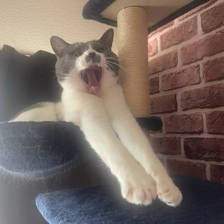 Ee6b96db 98d0 47b2 9684 381c50b3a3ea 1623305706558