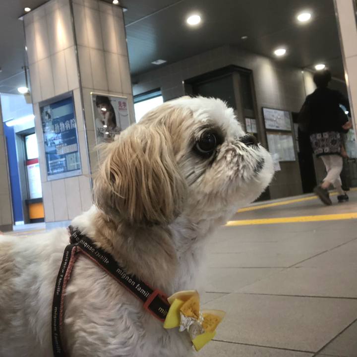 Ee6b9f4b c4fd 4371 b44a f73bf3aaf229 1622411849173