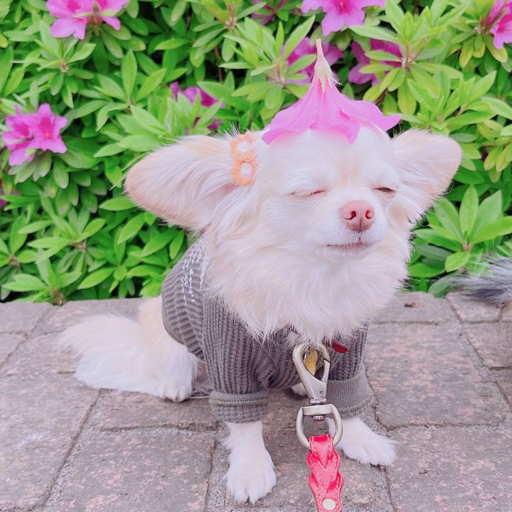 Ee6bac71 1193 4d7d bf0e 36d5d99113c5 1681802642059