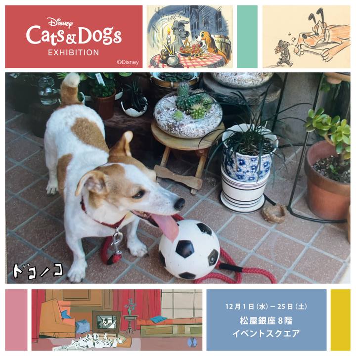 Ee6bebe3 da85 4b6f b857 b432e63db547 1638403049406