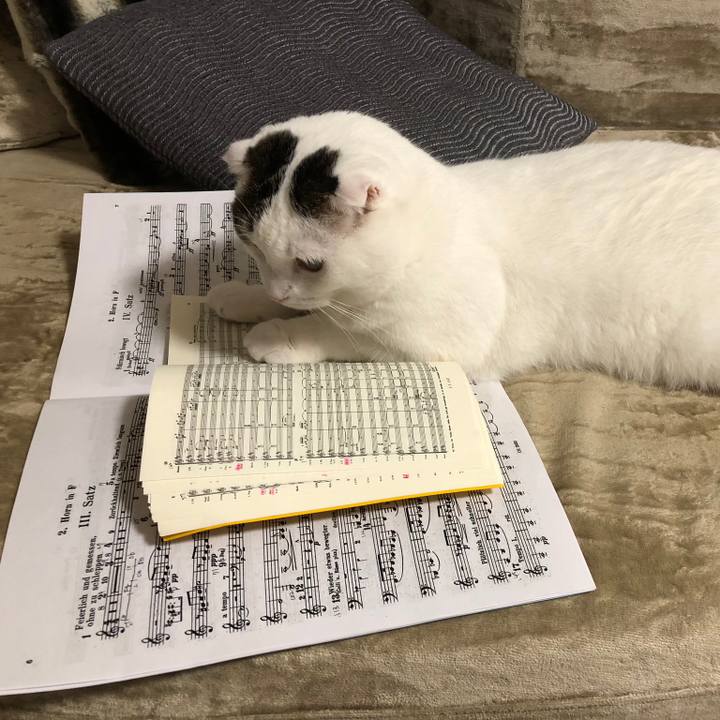 Ee6bec00 85cf 4f04 a83c 629009b9d627 1533727995111