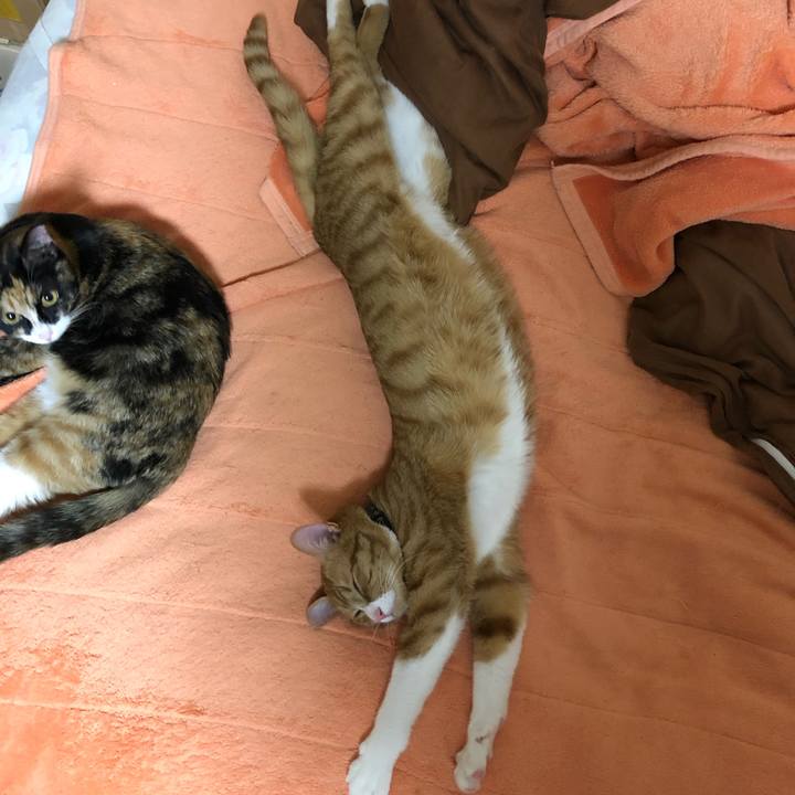 Ee6c01e3 4be5 4054 87e2 eb6ae3f49eb4 1557919435095