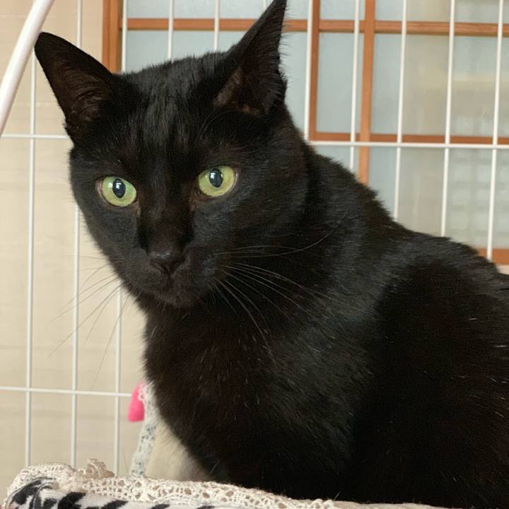 Ee6c10f9 de8b 42d1 b832 08b6822be6f2 1547946028768