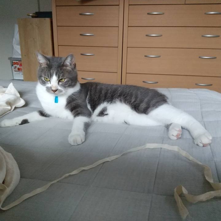 Ee6c627a 23e4 41df b6e3 5c8a6f3383c2 1602213573911