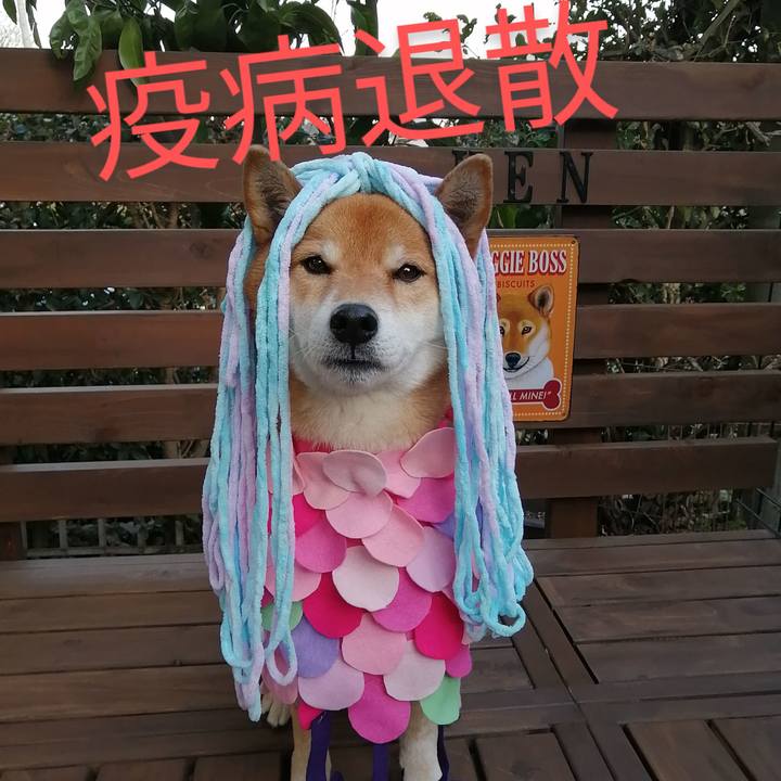 Ee6c6f64 3642 4567 9f70 50fae41655ae 1610956141575