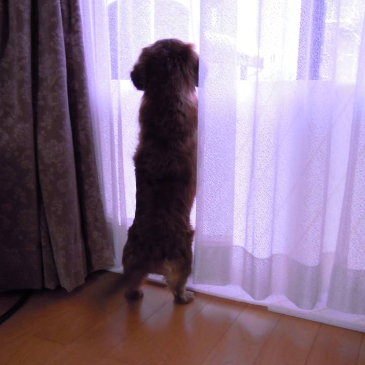 Ee6cdac4 2a1d 4f75 8624 6b6c6953a087 1556473584079