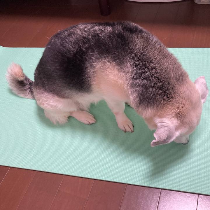 Ee6ce687 66c9 4b23 b8d3 1a7e7798e4d0 1735275939658