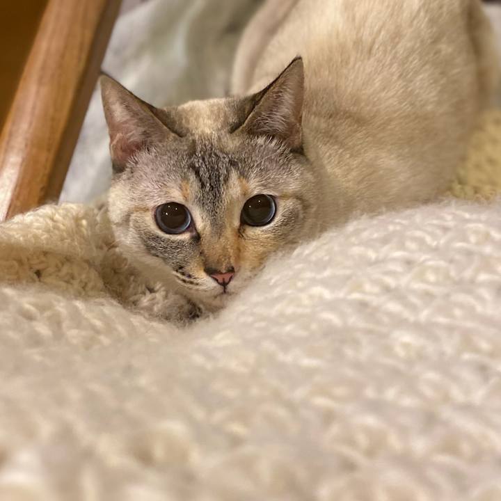 Ee6d0c4b 7bcd 4b5f ba66 85ce7ea2169c 1709113847413