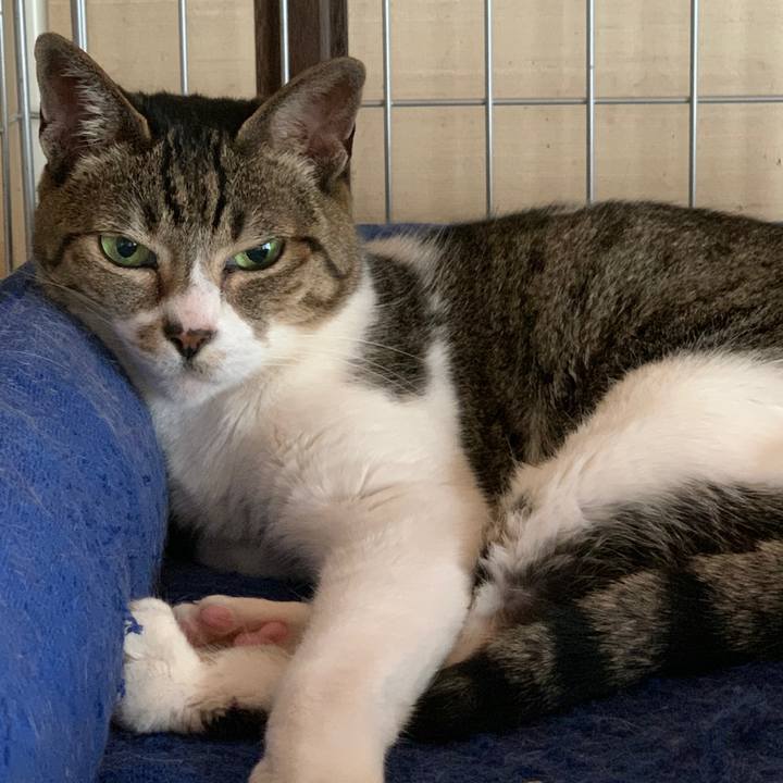 Ee6d4610 ce6c 4faf 80c6 264ad4087ebc 1592442634332