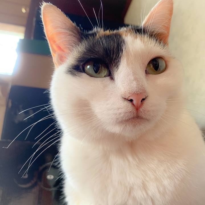 Ee6d5b26 26f6 4421 b0ac 2475adabb444 1560560753665