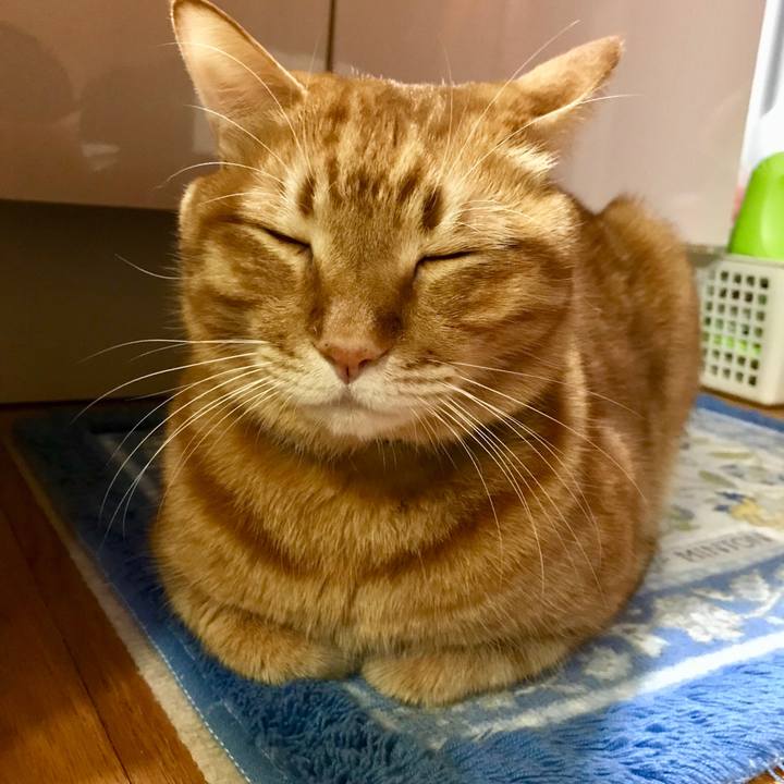 Ee6d6468 2794 4ea3 b120 e59d37bfad72 1512051264811