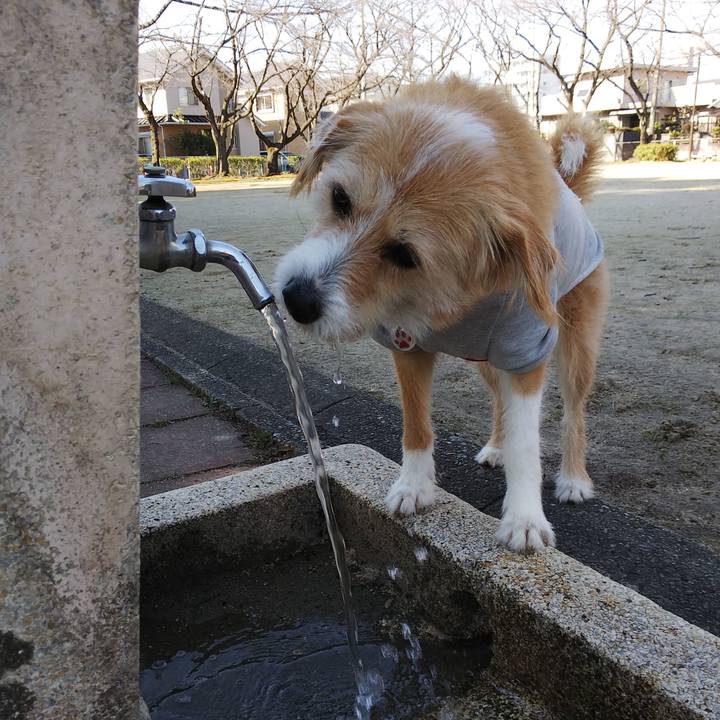 Ee6d7553 5e42 4cde a19f 7f1ec14da51f 1549350185567