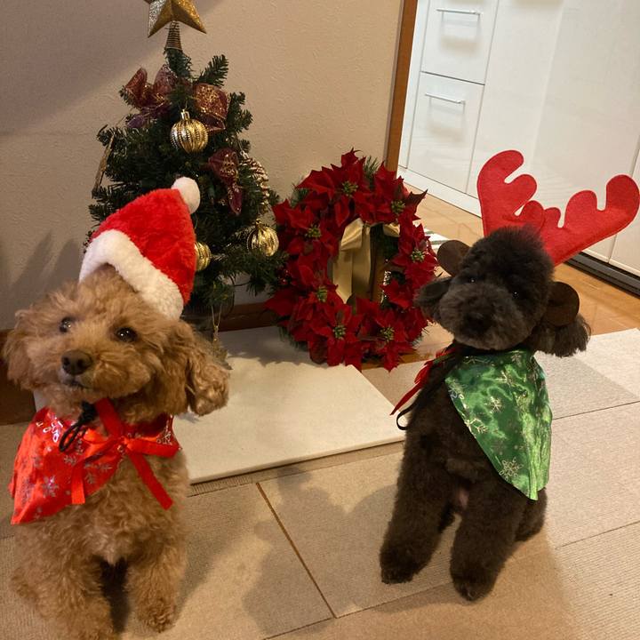 Ee6e144f 8d87 4340 9620 4c37fad8d192 1640425481483