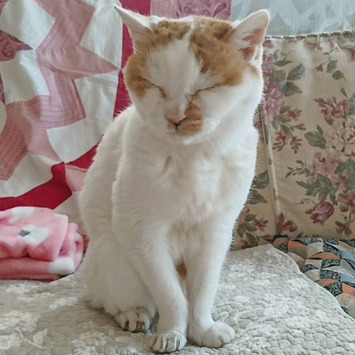 Ee6e3880 fc72 45b5 b668 93d81db7e40a 1556434564616