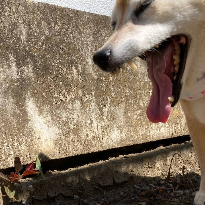 Ee6e4182 4bee 4dc3 896e b099cb6d2292 1693702160364