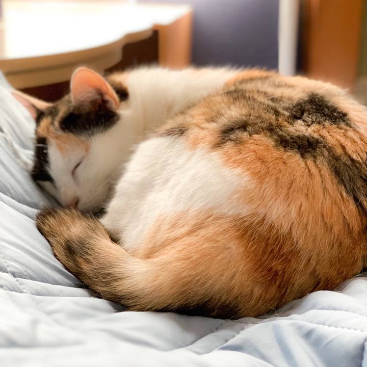 Ee6e4353 2b7d 405f b4dc 513431826a54 1565572738255