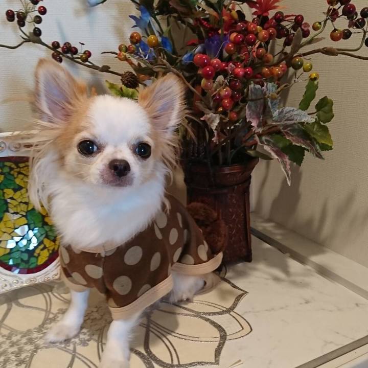 Ee6e8e5b f725 447b ad91 6b0654c4708d 1541067970209