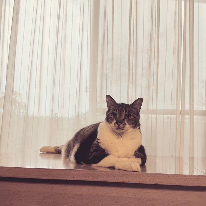 Ee6e9f1c 1889 4cac bb3a fc87c4686336 1684287141694