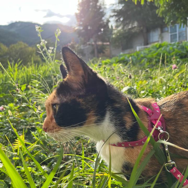 Ee6ead5c 0ab6 4f06 9ef9 f9e652fd8198 1665440968090