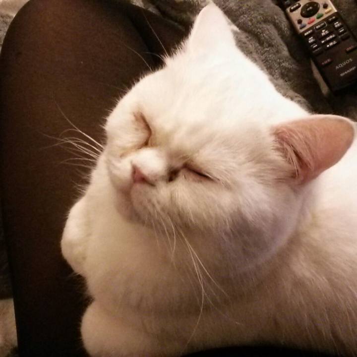 Ee6eb641 5f16 4a38 9eee d48ff969f6ab 1519206035440