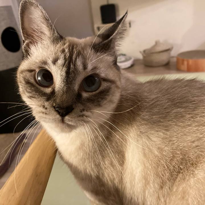 Ee6eee67 8aae 4092 a108 944c0ee792e9 1632821224215