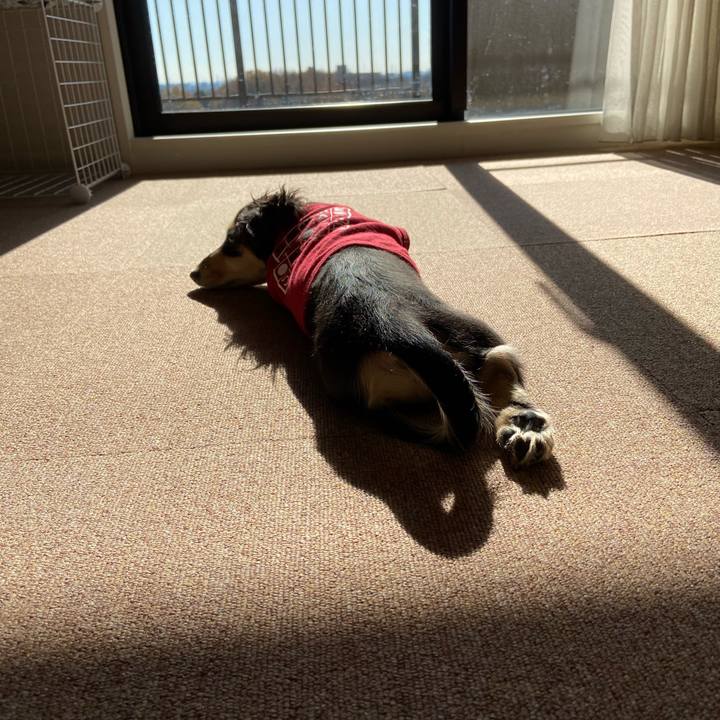 Ee6f174f a322 4402 b9cb b811f01f26e6 1670812852004