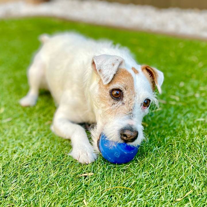 Ee6f1dda 1792 4538 957b 52648deff17f 1682185848169