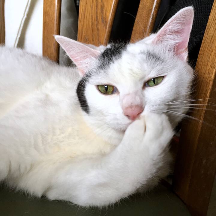 Ee6fac4c 2b49 4535 b06e 9c9ffdd90a8f 1567135434702