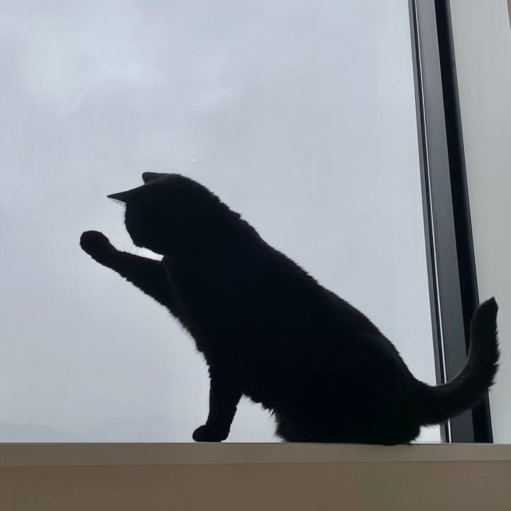 Ee6fc522 218d 4fc2 b1e6 ca34c4a21ffa 1635197651807