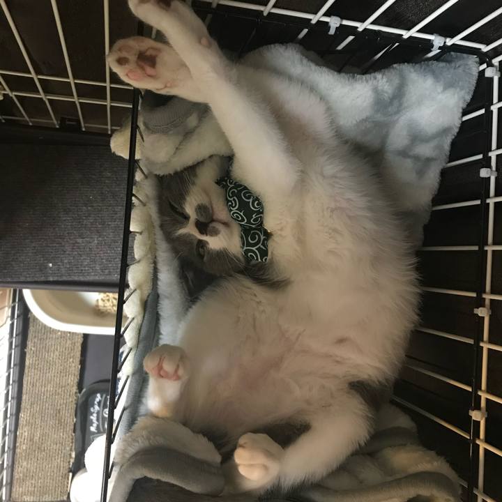 Ee6fec01 638a 490f 9f95 ea901304c0c7 1683257481415