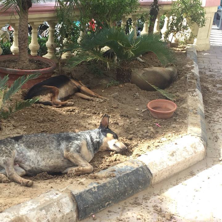 Ee6fedae 3bca 4633 a753 24fa19e7f2e6 1526457944451