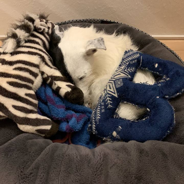 Ee70408b fd45 41a9 9910 c7e07c3a05d4 1666186048192