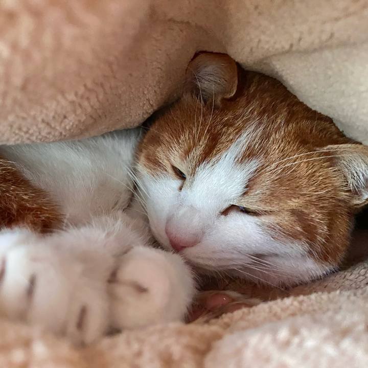 Ee704bad fc03 417f 837f 660392b7ed72 1674454687962