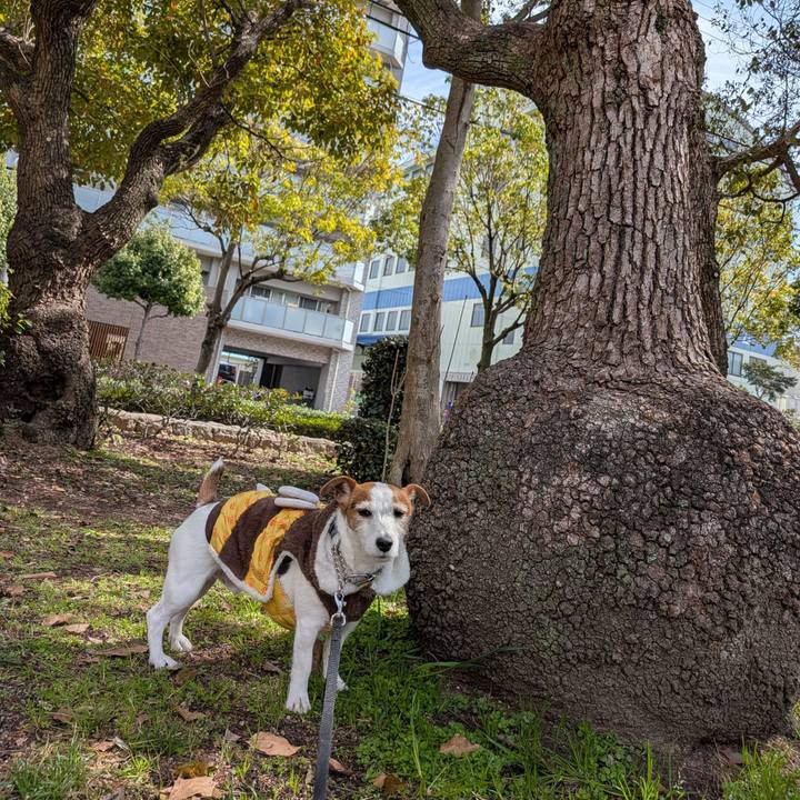 Ee707306 34c0 4bcd bae6 596805e48f02 1773397795707