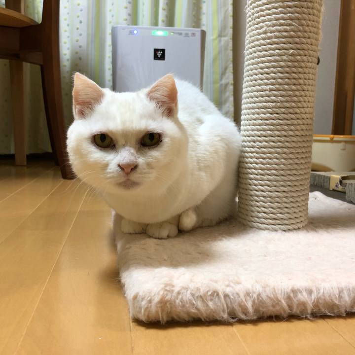 Ee707ec9 003b 4313 9160 5dd2a6bf3019 1523448600749