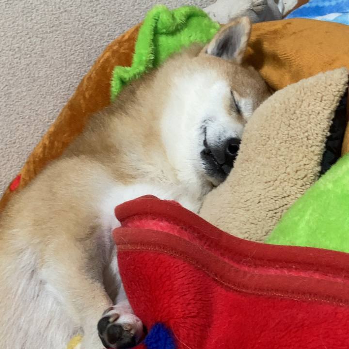 Ee708711 f4fc 489b a290 1d6ee8dd8a47 1611642440608