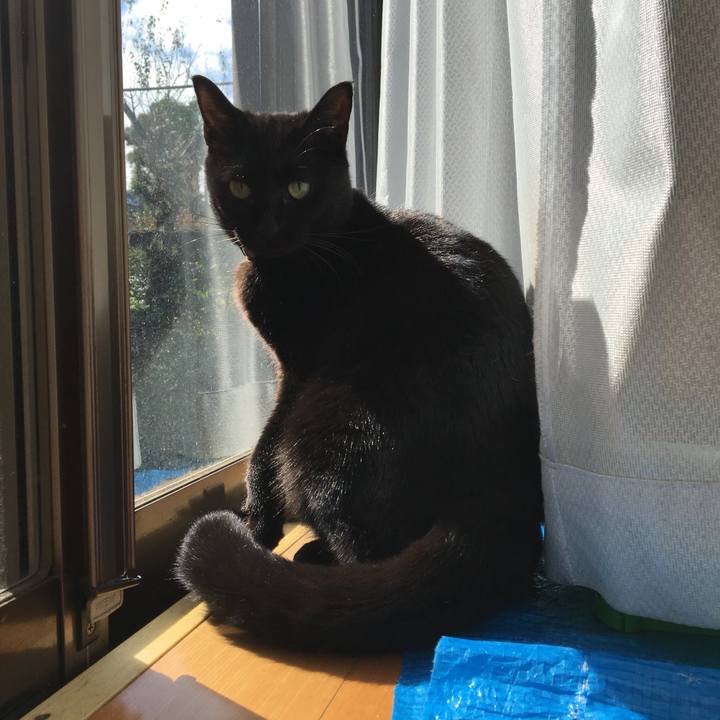 Ee70981c e31b 4371 92dc 1564d67a3f93 1541129610965