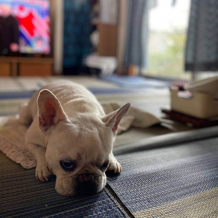 Ee70b752 dc74 4025 938d bfba4c35d5d7 1754436635353