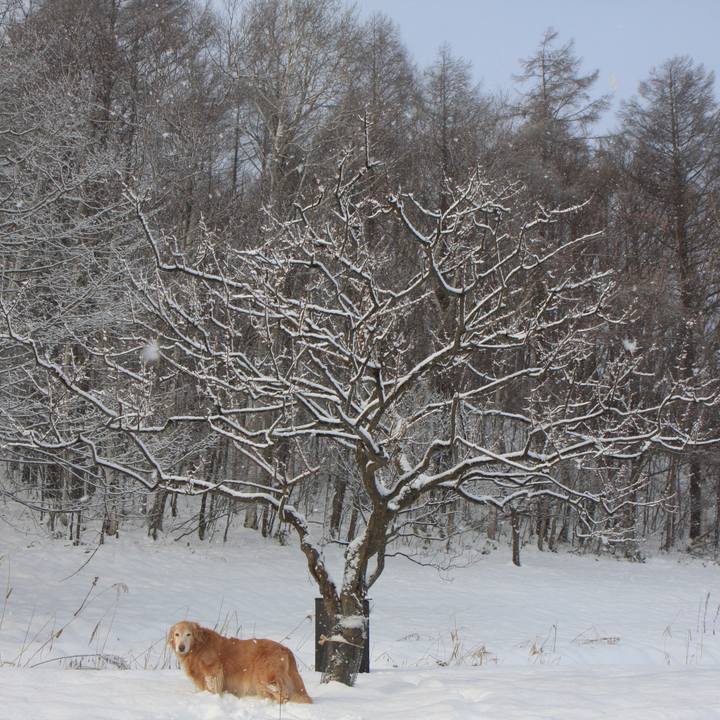 Ee70bebd a269 4bf3 913e 792f4d3a568d 1766275495841