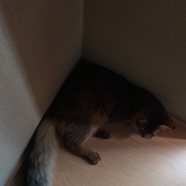 Ee70cd1c bb6a 42c7 983c e2e4cf2460c3 1567844604327