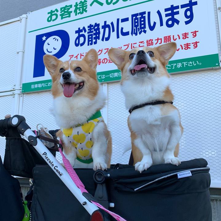 Ee70fbd6 93fc 4e9a 8d74 4586108db577 1633133454372