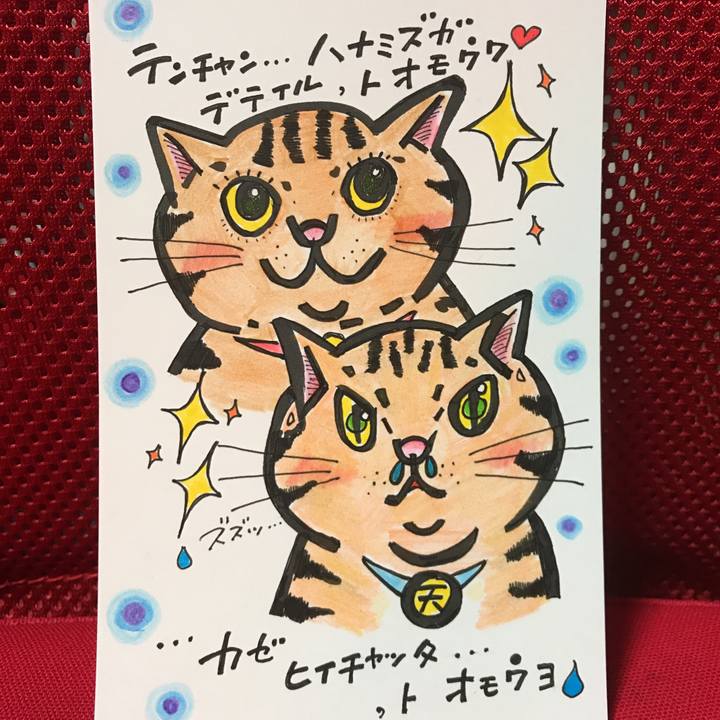 Ee710302 8727 47ac 989b 8f4ea3a54de4 1543330010605